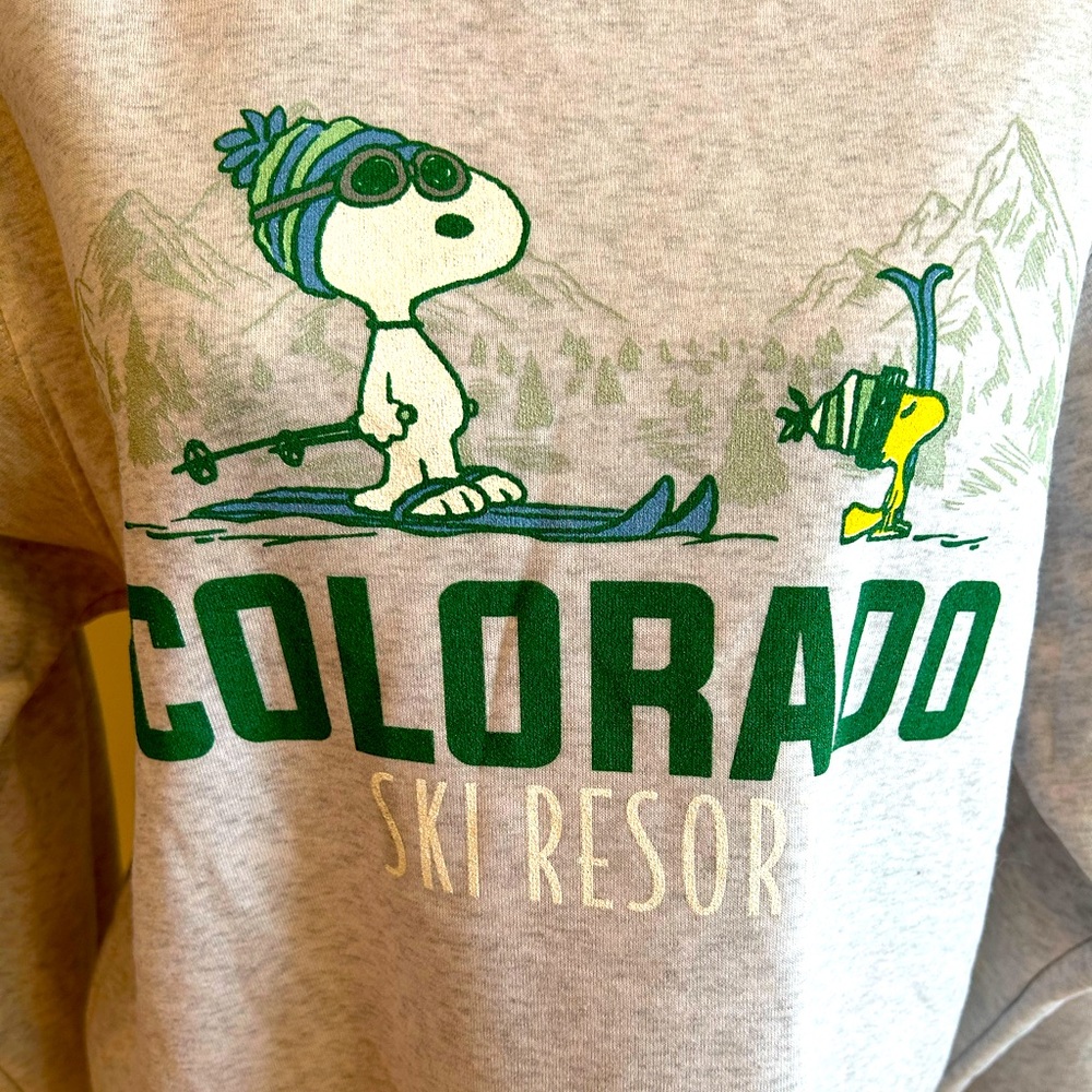 NWOT Peanuts Gray Sweatshirt Featuring Snoopy and  Woodstock